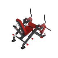 Leg Extension Quadriceps by Delavier _ BXT14 