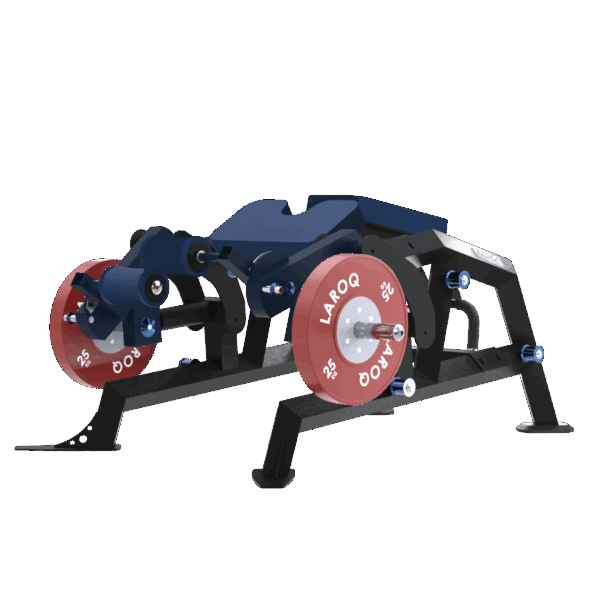 Machine leg curl couché LAROQ. Châssis acier noir, coussin de poitrine et rouleaux de cheville rembourrés bleus, leviers articulés et supports latéraux pour disques bumper rouges 25 kg, vue 3/4.