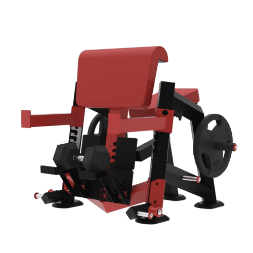 BB19 - Banc à biceps