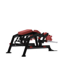 bxt33 - LEG CURL ALLONGÉ ISCHIOS