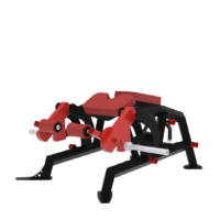 bxt33 - LEG CURL ALLONGÉ ISCHIOS