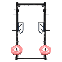 Structure de squat, développé couché et jammer ou autres, à deux montants noirs avec deux bras de jammer, barre de traction supérieure, supports J bleus, deux supports de barre, deux axes de rangement de disques, disques bumper rouges de diamètre 51. Vue de l'arrière