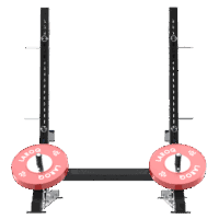 Structure noire avec des supports à élastiques, deux montants verticaux avec supports de barre bleus et disques bumper rouges sur axes de diamètre 51. Vue de l'arrière