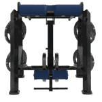 Reverse Hyper by Delavier _ BB201