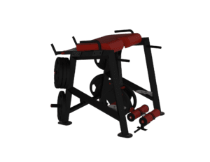 BB201 – Reverse Hyper