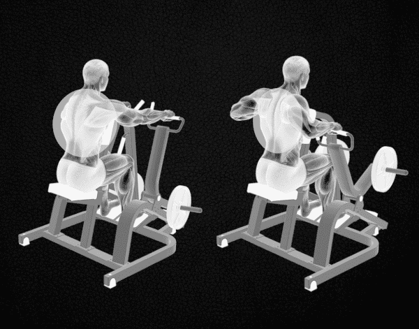 ROWING ASSIS DIVERGENT
