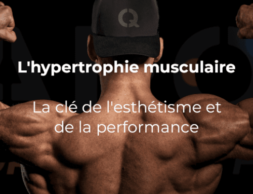 L’hypertrophie musculaire