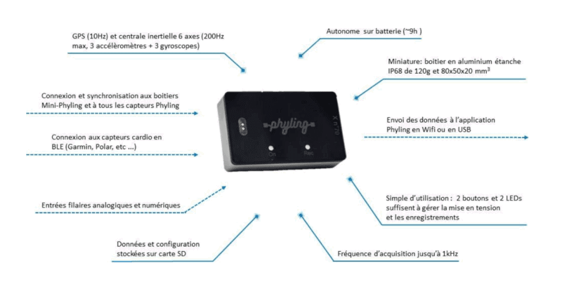 Maxi Phyling - Caractéristiques
