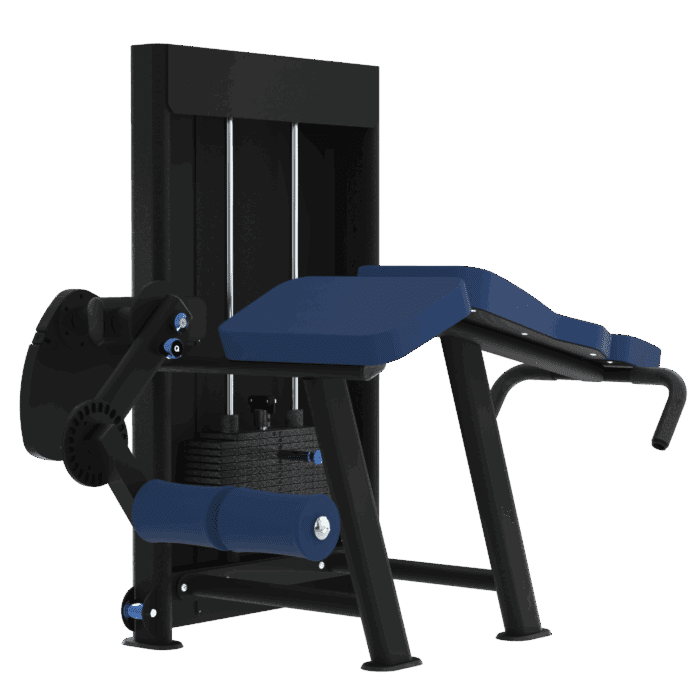 Leg Curl couché - TE33